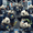 BW #119: Python conferences (solutions)